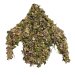 balista-camouflage-suit-ghost-stalker-66593.jpg