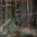 balista-camouflage-suit-ghost-stalker-66598.jpg